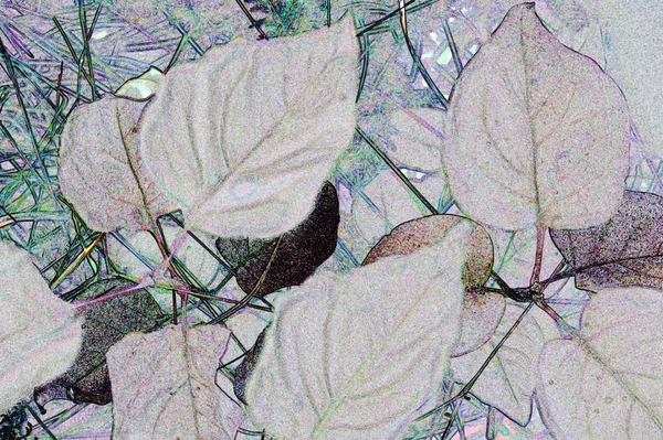 Абстрактная композиция листья — стоковое фото